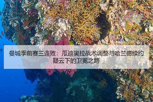 曼城季前赛三连败：瓜迪奥拉战术调整与哈兰德续约疑云下的卫冕之路